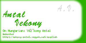 antal vekony business card